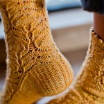 Chrysanthemum Frutescens Sock